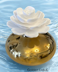 House of Designs & Interiors by Vicki Galvan - Photo 6 - Car repair in Santa Monica, CA, Los Angeles