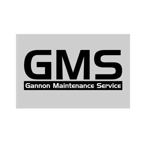 GMS LTD