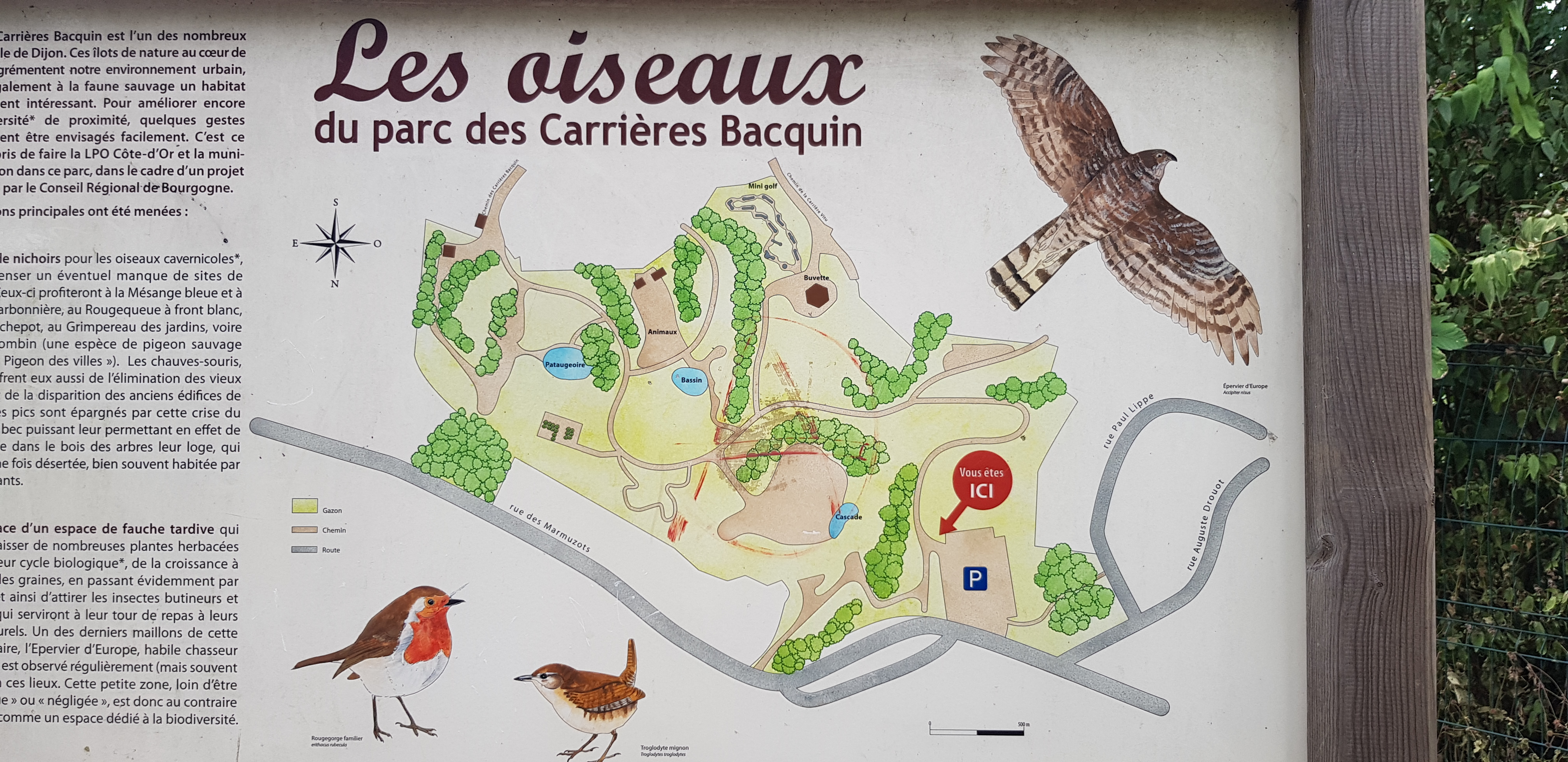 Photo n° 1 de l'avis de C... fait le 14/08/2022 à 15:24