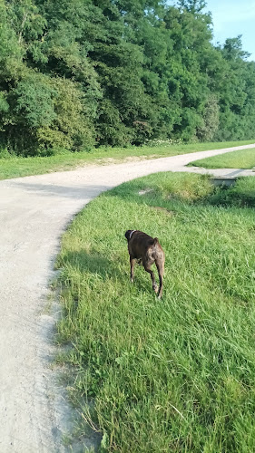 Parcours santé à Champforgeuil