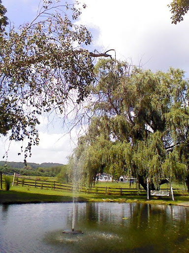 Winery «School House Winery», reviews and photos, 455 Schneiders Crossing Road Northwest, Dover, OH 44622, USA