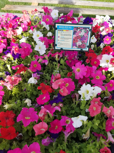 Florist «Lyndhurst Florist», reviews and photos, 5268 Mayfield Rd, Lyndhurst, OH 44124, USA