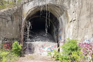 Green Man's Tunnel image