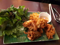 Pakora du Restaurant vietnamien Restaurant Nhu Y à Torcy - n°5
