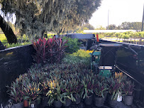 Florida Ground Pros - Photo 5 - Car repair in , Brandon