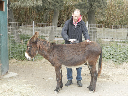 Animal Zone International Equine Shelter