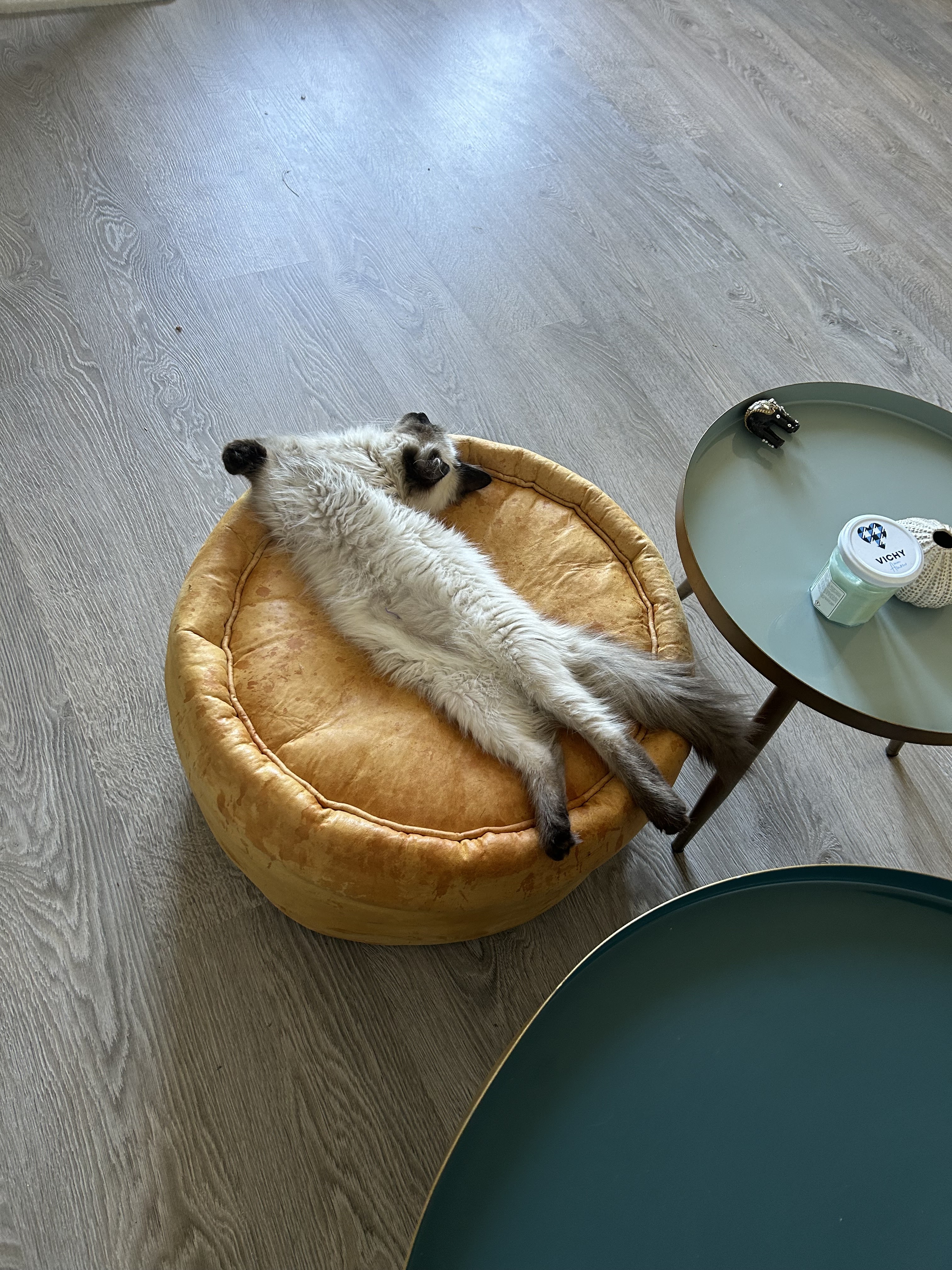 Photo n° 2 de l'avis de K.o fait le 26/10/2023 à 21:43