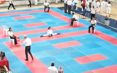 Paü Kapalı Spor Salonu image