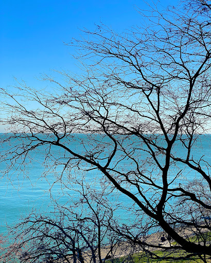 McCormick Place Lakeside Waterfall, McCormick Place - Lakeside Center, Chicago, IL 60616