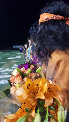 Stadium «Pasadena Veterans Memorial Stadium», reviews and photos, 2906 Dabney Dr, Pasadena, TX 77502, USA