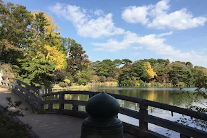 Senzokuike Park image