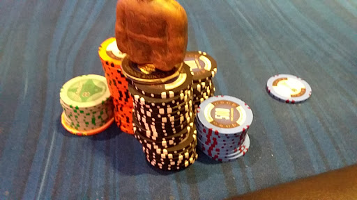 Car Racing Track «Melbourne Greyhound Park casino», reviews and photos, 1100 N Wickham Rd, Melbourne, FL 32935, USA