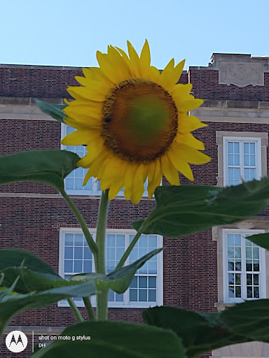 Thrift Store «Second Blessing Thrift Store Inc.», reviews and photos, 2323 Central Ave, Wichita, KS 67214, USA