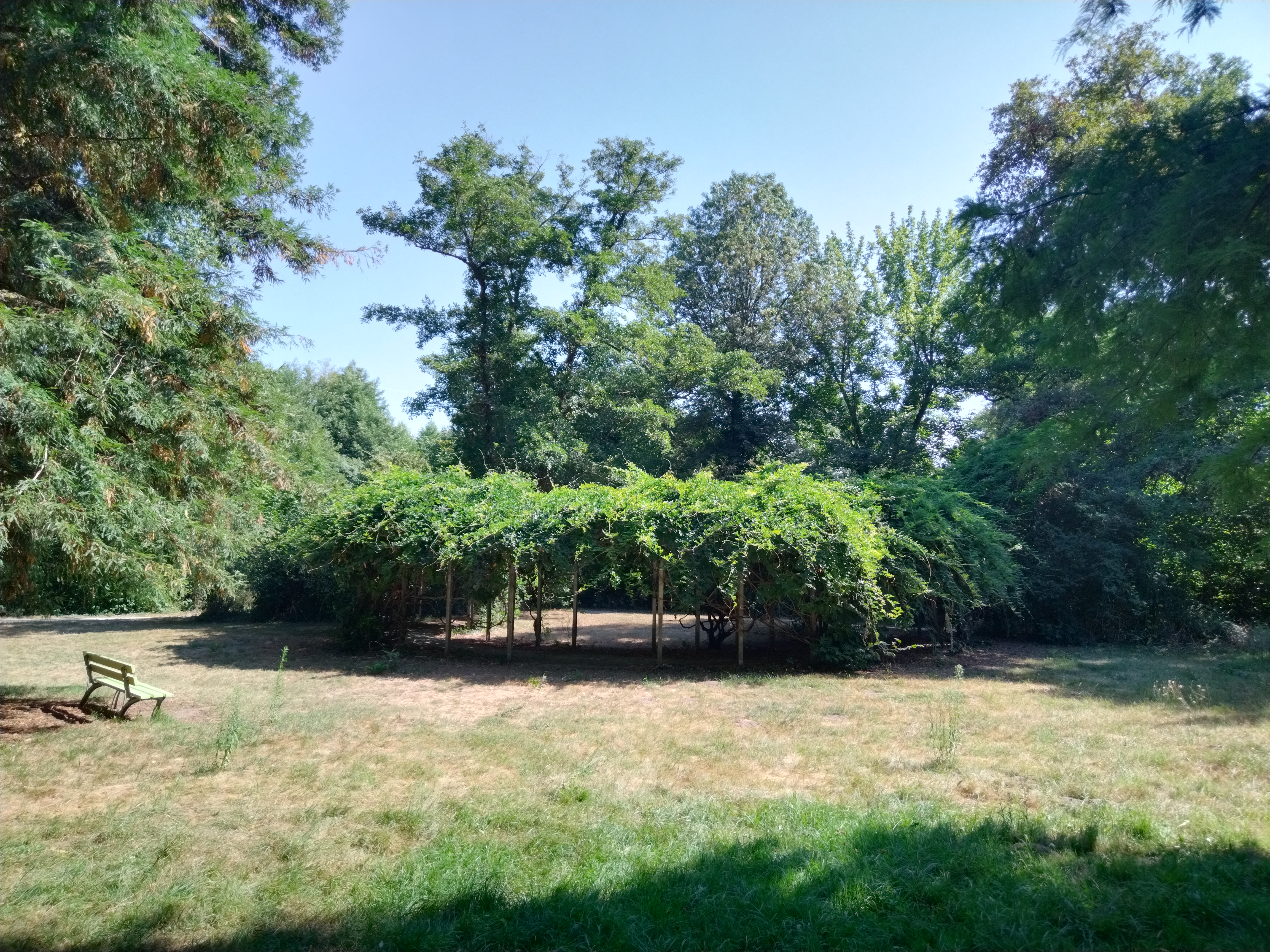 Photo n° 2 de l'avis de rose.i fait le 06/08/2022 à 16:51