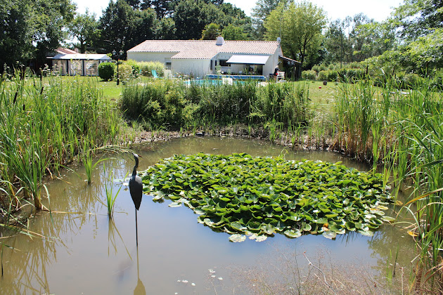 Photos du propriétaire Chambre d'hôtes Aux portes du Grand Bleu 85440 Grosbreuil