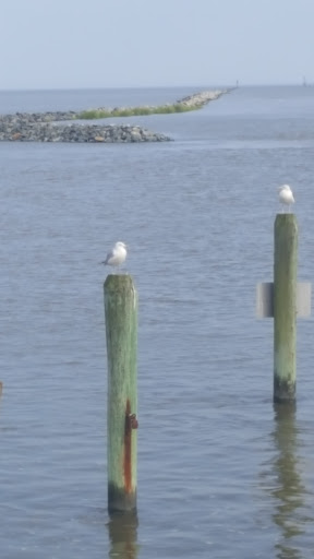 Nature Preserve «DuPont Nature Center», reviews and photos, 2992 Lighthouse Rd, Milford, DE 19963, USA