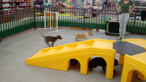 Pet Food Express image