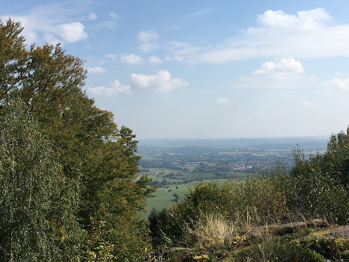 Château du Warthenberg à Ernolsheim-lès-Saverne