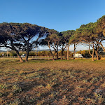 Photo n°2 de l'avis de Juliane. fait le 11/04/2022 à 18:28 sur le  La Tavernetta à Budoni