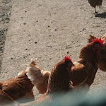 Photo n°9 de l'avis de Antonino.a fait le 07/03/2020 à 18:31 sur le  Agriturismo Borgo Deodato à Villarosa