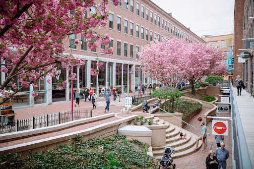 Arts Organization «SoWa Art + Design District», reviews and photos, 450 Harrison Ave, Boston, MA 02118, USA