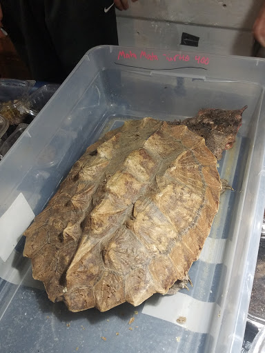 Reptile Store «Cleveland Reptile Show», reviews and photos, 17250 Hummel Rd, Brook Park, OH 44142, USA