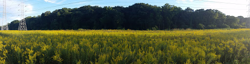 Nature Preserve «Rubio Woods», reviews and photos, W. Midlothian Turnpike, Midlothian, IL 60445, USA