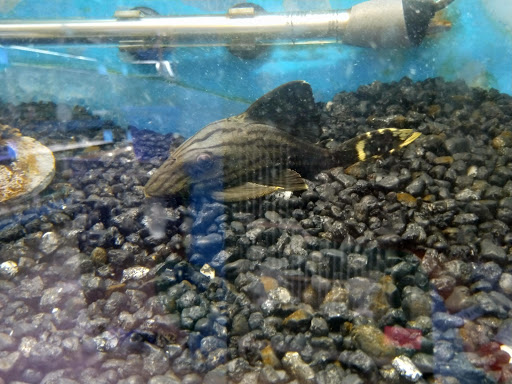 Pet Supply Store «Atlas Pet Supply», reviews and photos, 1798 Market Dr, Stillwater, MN 55082, USA