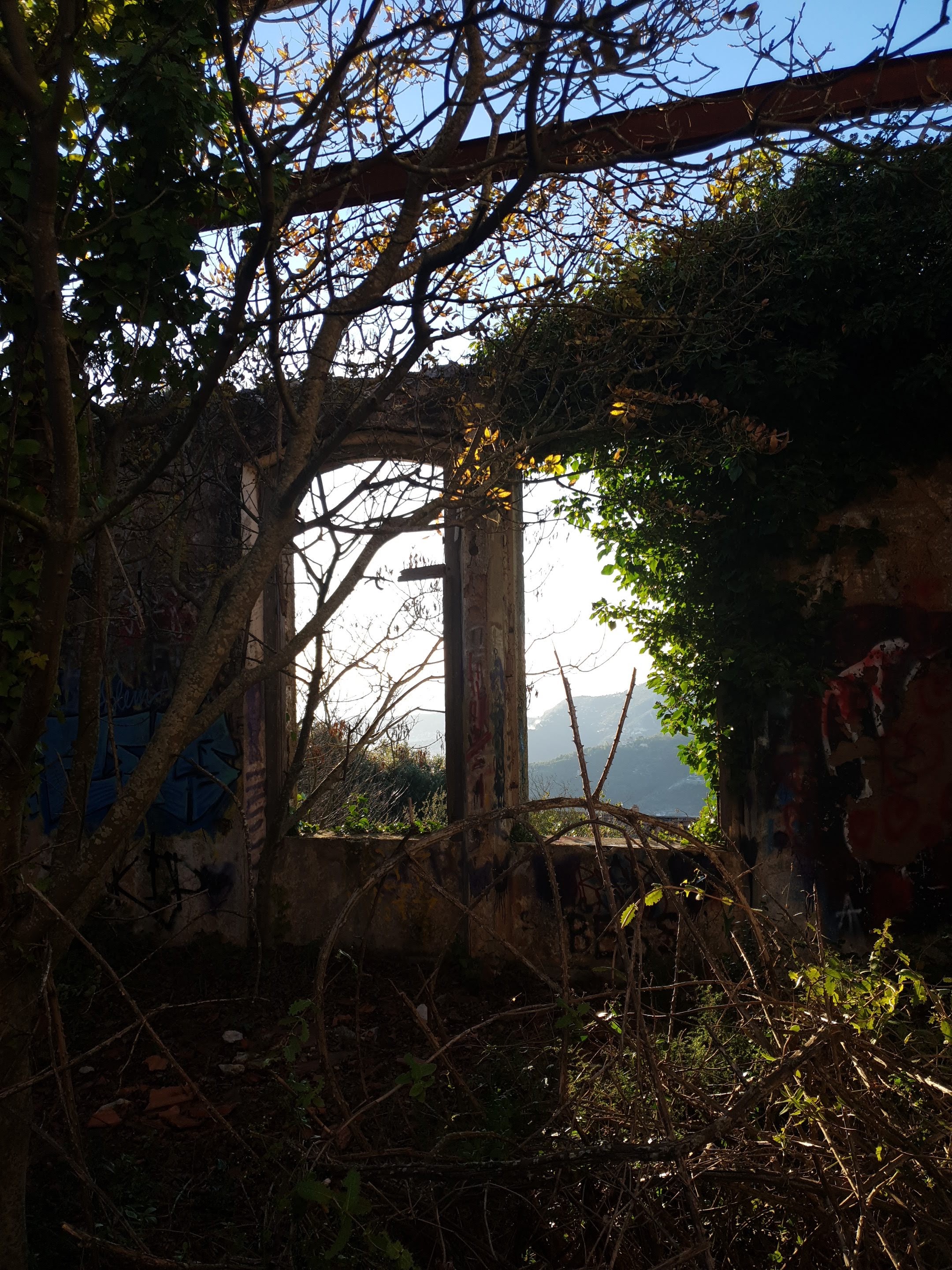Photo n° 2 de l'avis de Richard.e fait le 06/12/2018 à 09:36