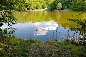 Didorivka Pond image