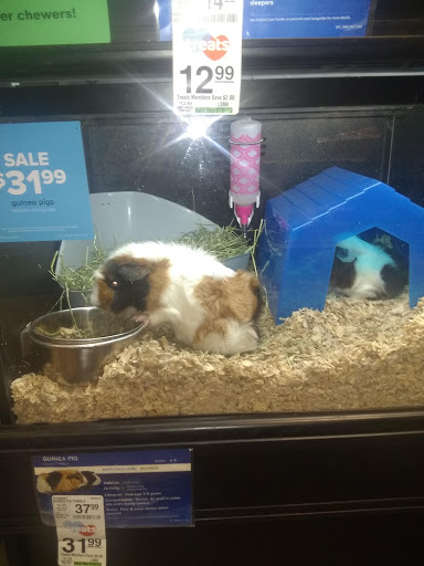 Pet Supply Store «PetSmart», reviews and photos, 2210 S Croatan Hwy, Nags Head, NC 27959, USA