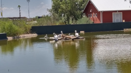 Zoo «Phoenix Zoo», reviews and photos, 455 N Galvin Pkwy, Phoenix, AZ 85008, USA