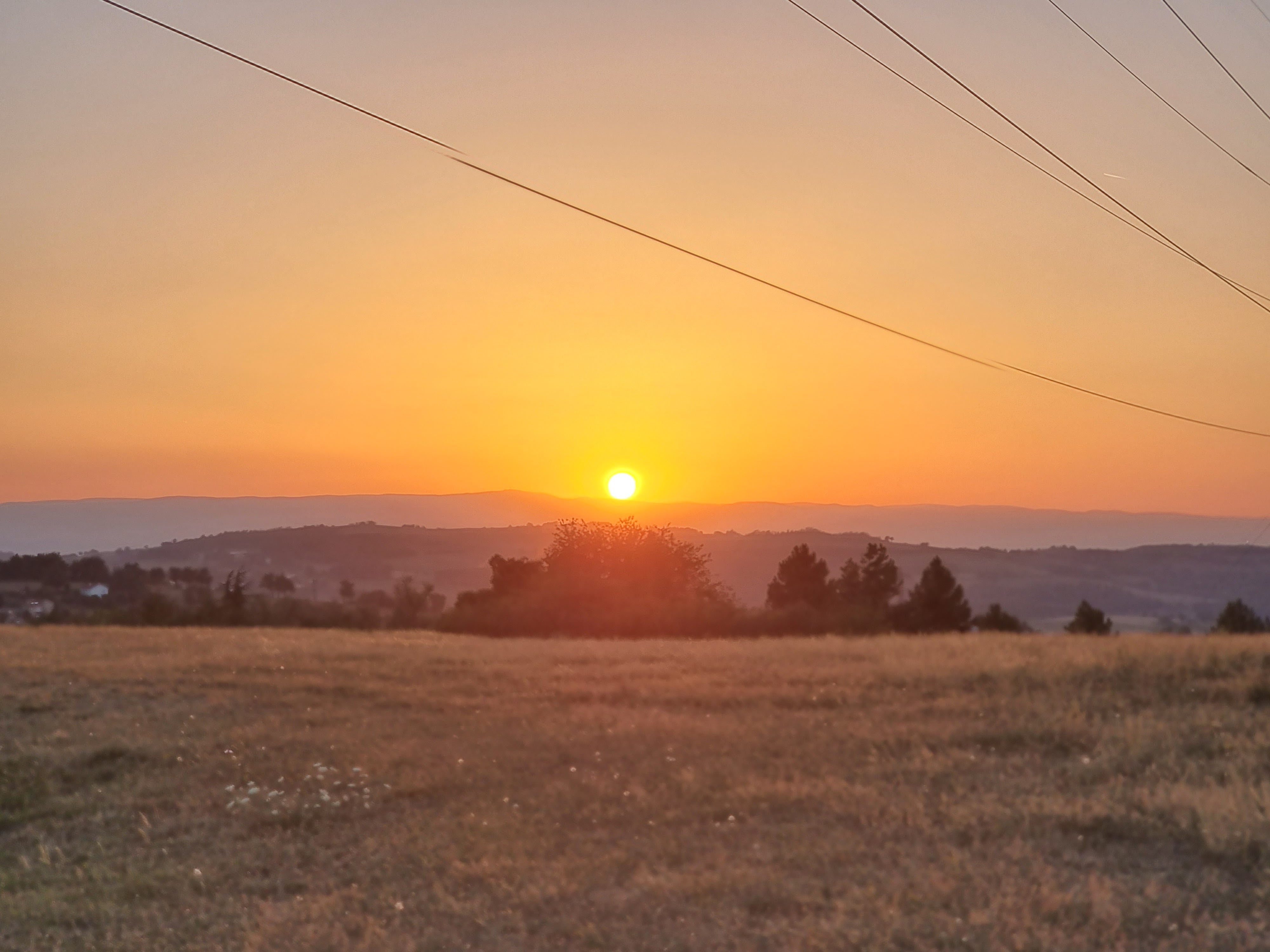 Photo n° 1 de l'avis de Yaniss. fait le 14/08/2022 à 17:48