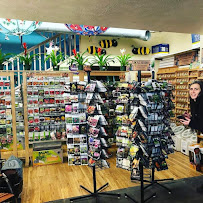 North End Organic Nursery