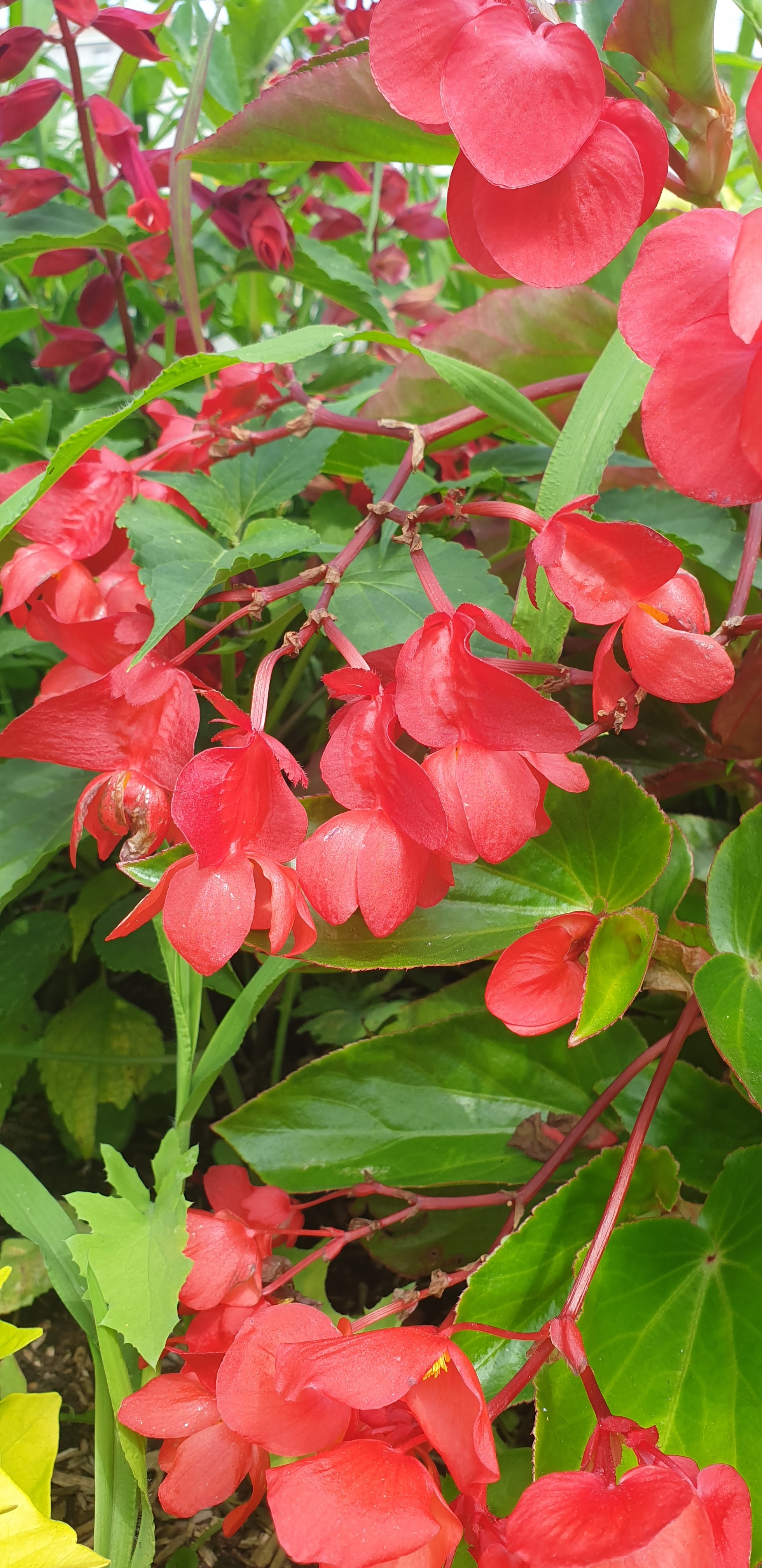 Photo n° 3 de l'avis de Marie.r fait le 31/07/2023 à 08:04