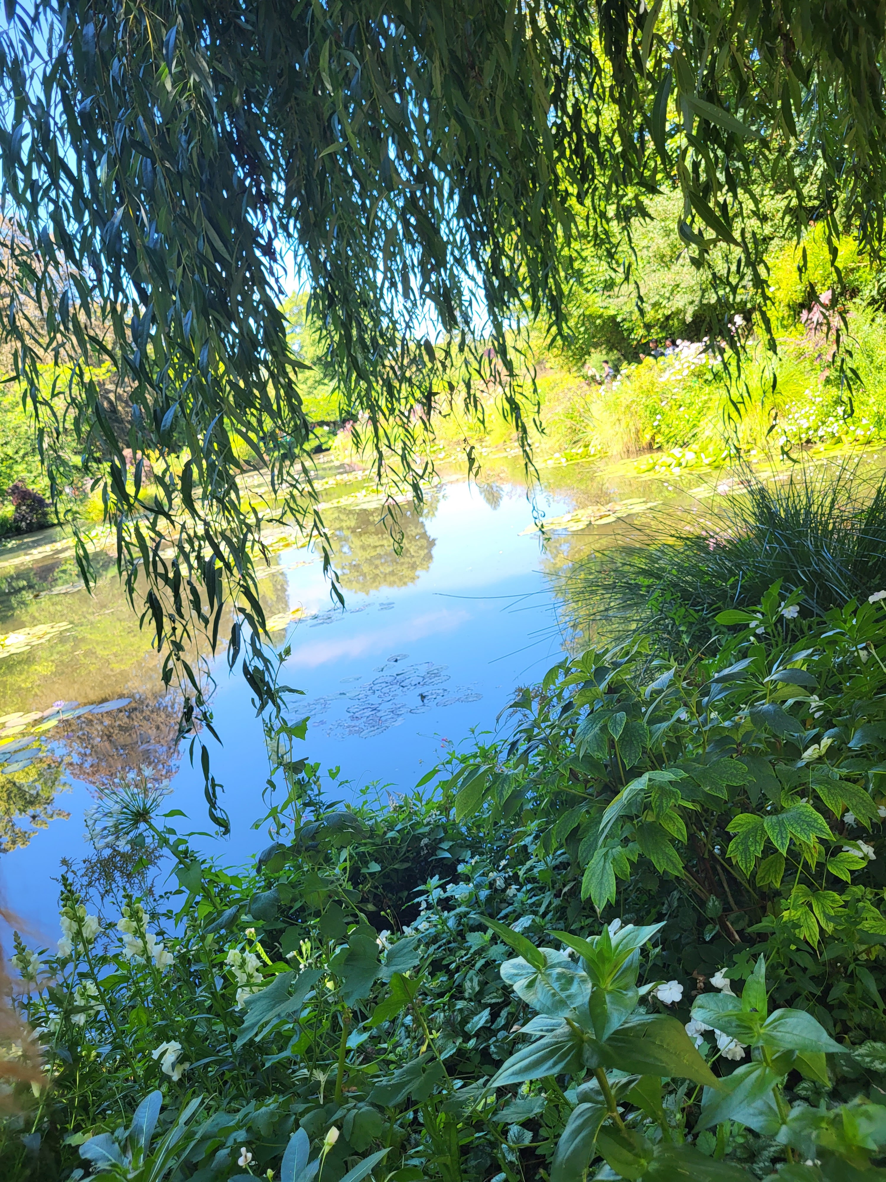 Photo n° 2 de l'avis de Virginie.a fait le 20/08/2023 à 15:52