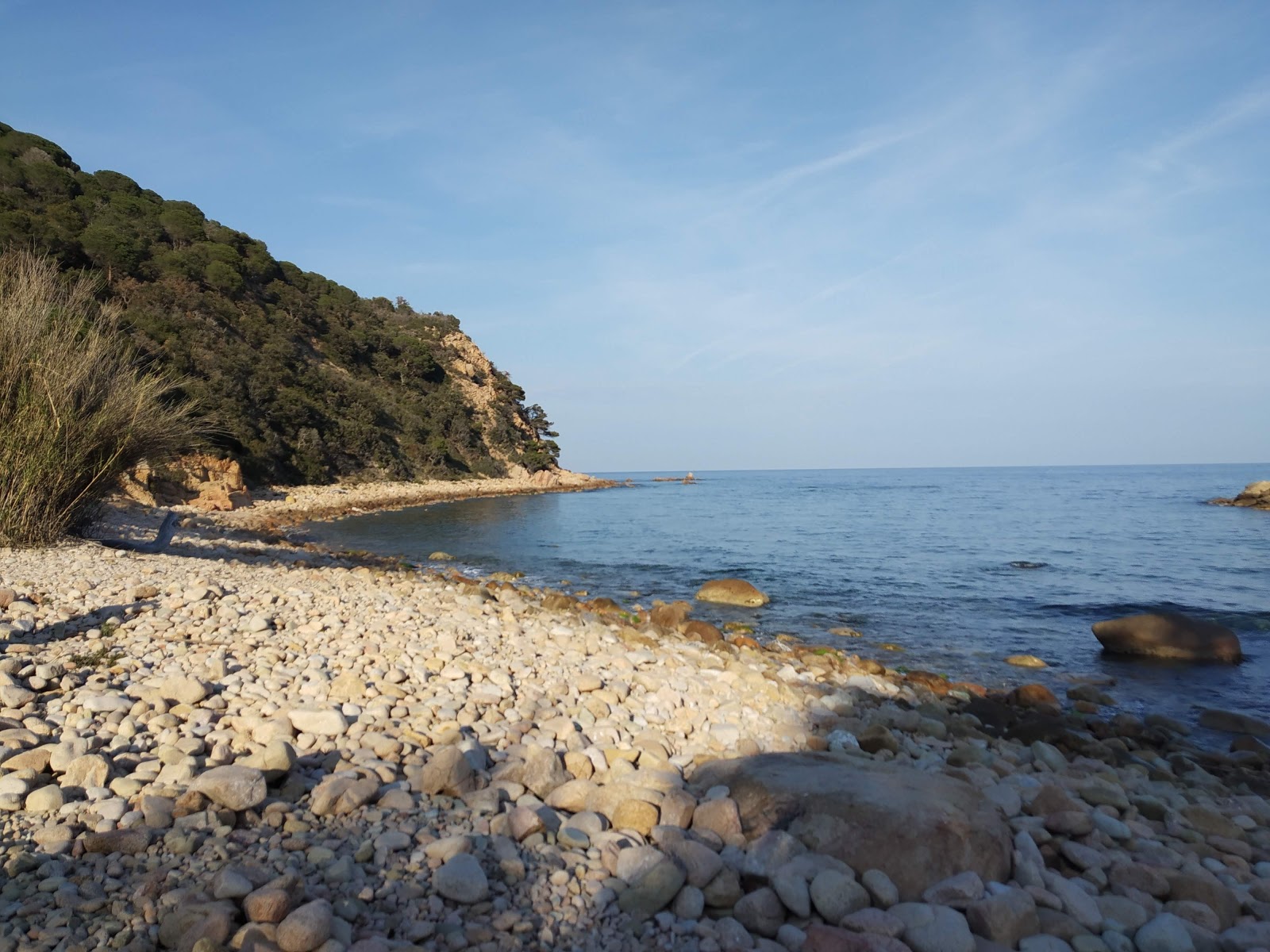 Foto di Platja de Vallpresona con una superficie del ciottoli marroni