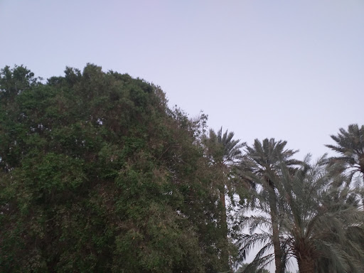 مزرعة صوفي ورمضان الزهراني في الرياض 3