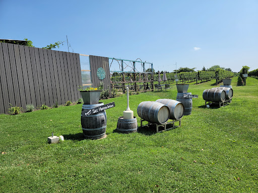 Winery «Auburn Road Vineyard & Winery», reviews and photos, 117 Sharptown, Pilesgrove, NJ 08098, USA
