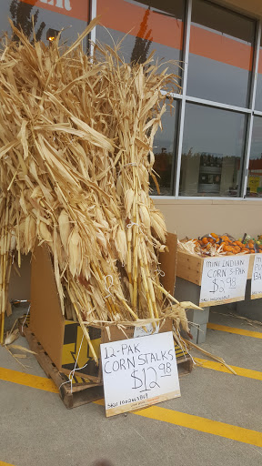 Home Improvement Store «The Home Depot», reviews and photos, 10991 Silverdale Way NW, Silverdale, WA 98383, USA