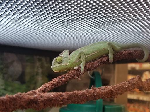 Pet Supply Store «Petco Animal Supplies», reviews and photos, 178 Township Blvd, Camillus, NY 13031, USA