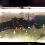 Photo n° 23 de l'avis de Philippe.r fait le 19/11/2023 à 18:21 pour Mémorial de Caen à Caen