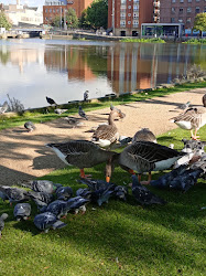 Lincoln Courts, University of Lincoln
