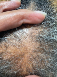 Hair Health Harmony - Photo 3 - Car repair in Santa Clarita, CA, Santa Clarita