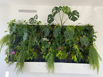 Eco Brooklyn Living Walls - Photo 5 - Car repair in , New York