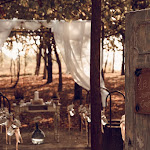 Photo n°2 de l'avis de ROBERTO.A fait le 15/10/2019 à 04:51 sur le  La Commedia Della Pentola in Monferrato à LU Monferrato