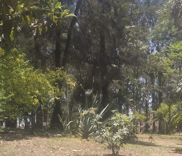 Ing. Armando Camacho B. Park photo