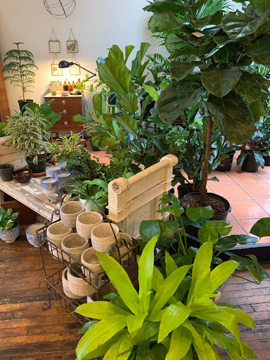 Florist «Fleur de Lis Fresh Flowers», reviews and photos, 516 Selby Ave, St Paul, MN 55102, USA