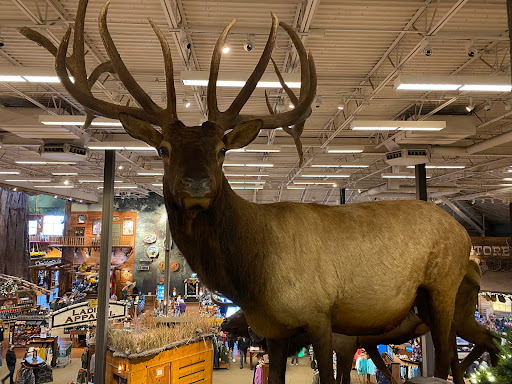 Sporting Goods Store «Bass Pro Shops», reviews and photos, 1356 Bass Pro Dr, Manteca, CA 95337, USA