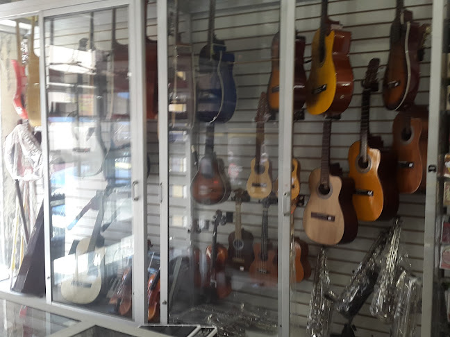 Casa Musical UVS - Tienda de instrumentos musicales